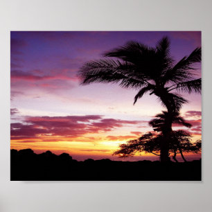 Hawaiischer Sonnenuntergang Poster