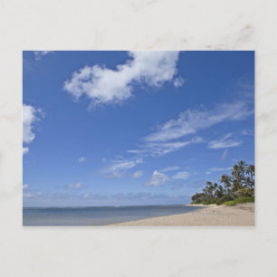 Hawaiischer Strand mit Palmen. Postkarte