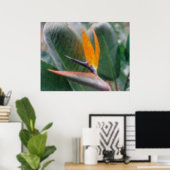 Hawaiischer tropischer Paradiesvogel Plakat (Heimbüro)