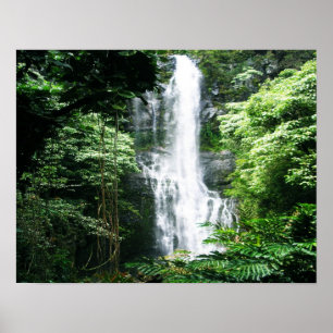 Hawaiischer Wasserfall Poster