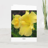 Hawaiisches alles Gute zum Geburtstag -- Hau ` oli Karte (Rückseite)