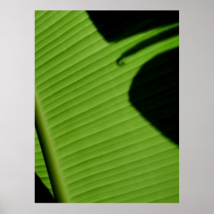 Hawaiisches Bananen-Blatt Poster
