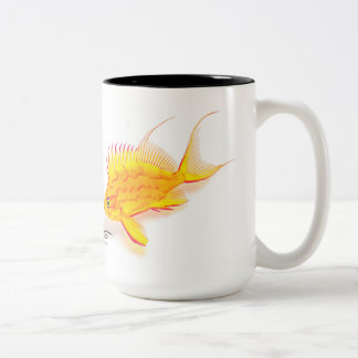Hawaiisches gelbes Anthias, Holanthias fuscipinnis Zweifarbige Tasse