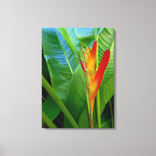 Hawaiisches Heliconia Leinwanddruck