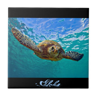 Hawaiisches Honu - Meeresschildkröte Fliese
