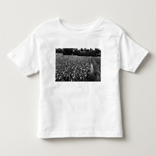 Hawaiisches IslandsTaro Feld PhotographHawaii Kleinkind T-shirt (Vorderseite)