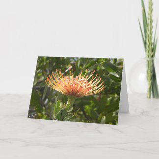 Hawaiisches Nadelkissen-orange Blumen-Gruß-Karte Karte