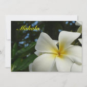 Hawaiisches Plumeria-Blumen-Beileid danken Ihnen Dankeskarte (Vorderseite)