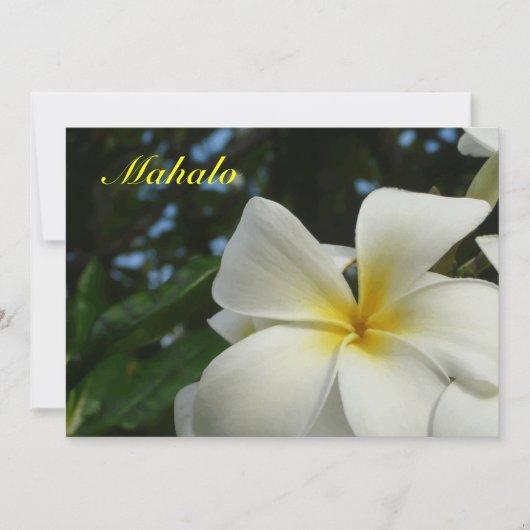 Hawaiisches Plumeria-Blumen-Beileid danken Ihnen Dankeskarte (Vorderseite)