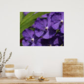 Hawaiisches tropisches Orchideen-Plakat Poster (Küche)