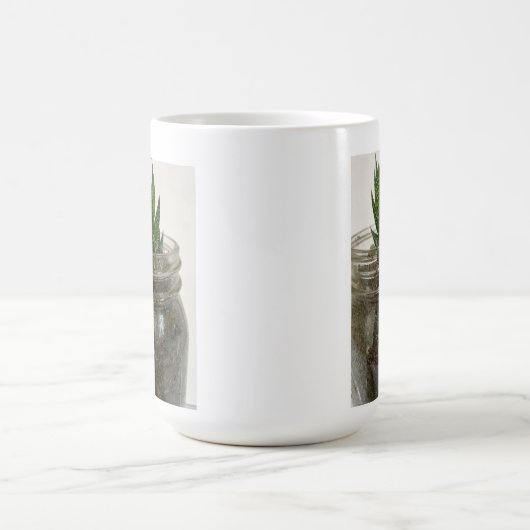 Hawarthia Succulent Kaffeetasse (Mittel)