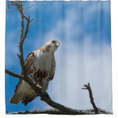 Hawk auf dem Jagdduschvorhang Duschvorhang (Vorderseite)