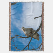 Hawk auf der Jagdwurzeldecke Decke (Vorderseite Vertikal)
