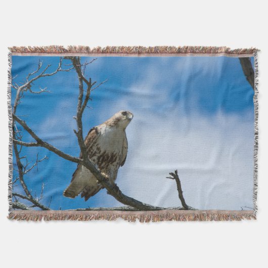 Hawk auf der Jagdwurzeldecke Decke (Vorderseite)