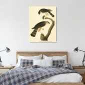 Hawk aus Audubons Vögeln in Amerika Leinwanddruck (Insitu (Schlafzimmer))