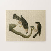 Hawk aus Audubons Vögeln in Amerika Puzzle (Horizontal)