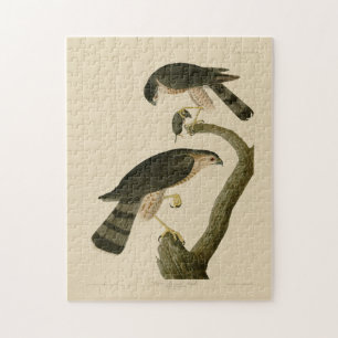 Hawk aus Audubons Vögeln in Amerika Puzzle