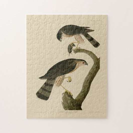 Hawk aus Audubons Vögeln in Amerika Puzzle (Vertikal)
