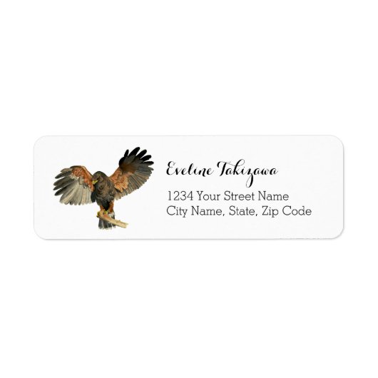 Hawk Bird Nature Watercolor Rücksendeadresse (Vorne)