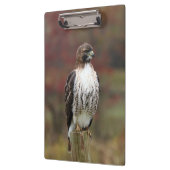 Hawk Clipboard Klemmbrett (Links)
