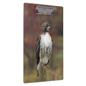 Hawk Clipboard Klemmbrett (Rechts)