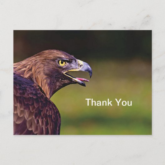 Hawk Danke Postkarte (Vorderseite)