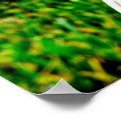 Hawk Eyes — Kunstdruck Poster (Ecke)