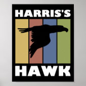 Hawk Falcon Hunter Poster (Vorne)