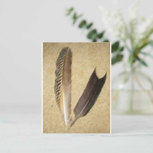 Hawk Feathers Postkarte (Stehend Vorderseite)