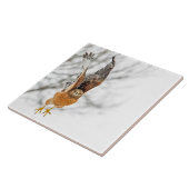 Hawk fliegen fliese (Seite)