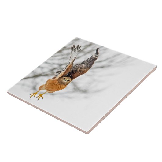 Hawk fliegen fliese (Seite)