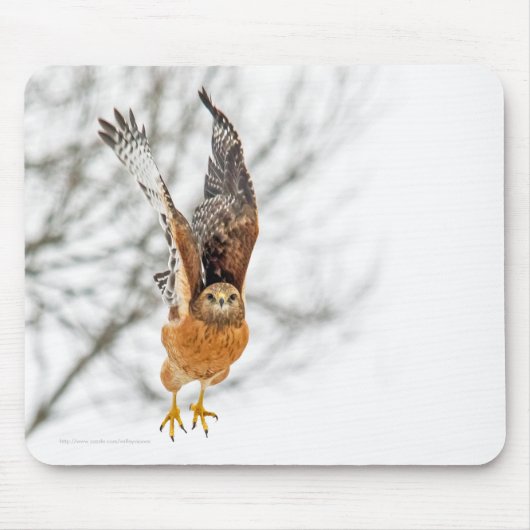 Hawk fliegen mousepad (Vorne)