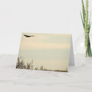 Hawk Flying High-Note-Karte Karte