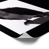 Hawk Foto Poster (Ecke)