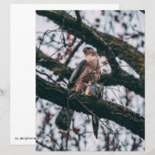 Hawk Foto Print (Vorne/Hinten)