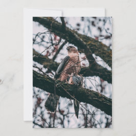 Hawk Foto Print Feiertagskarte