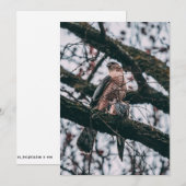 Hawk Foto Print Feiertagskarte (Vorne/Hinten)