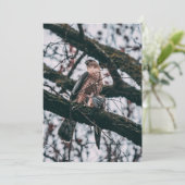 Hawk Foto Print Feiertagskarte (Stehend Vorderseite)
