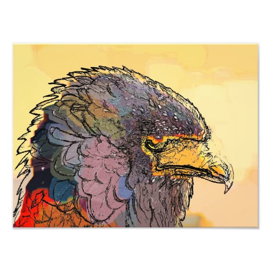 HAWK FOTODRUCK (Vorne)