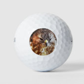 HAWK GOLFBALL (Vorderseite)