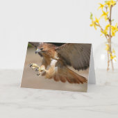 Hawk Grußkarte Karte (Gelbe Blume)