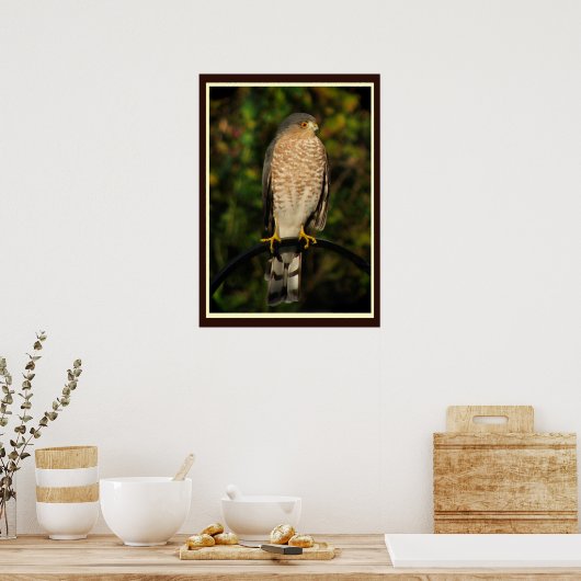 Hawk-Hawk Poster (Küche)