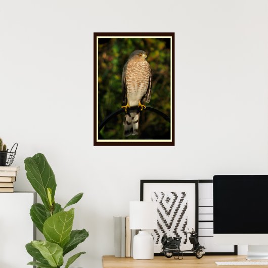 Hawk-Hawk Poster (Heimbüro)