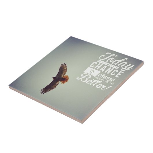 Hawk heute kann man besser fliese (Seite)