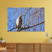 Hawk in weinendem Kirschbaum Leinwanddruck (Insitu (Wohnzimmer))