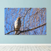 Hawk in weinendem Kirschbaum Leinwanddruck (Insitu (Holzboden))