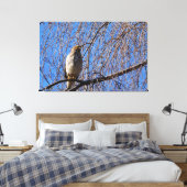 Hawk in weinendem Kirschbaum Leinwanddruck (Insitu (Schlafzimmer))