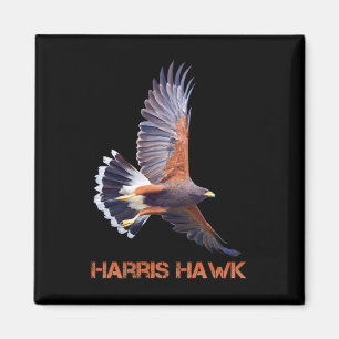 Hawk Kamala Harris für Präsident Magnet