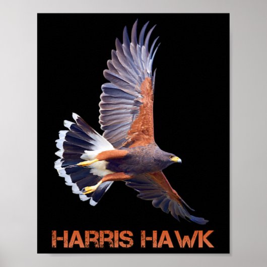 Hawk Kamala Harris für Präsident Poster (Vorne)