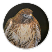 Hawk Keramikknauf (Vorderseite)